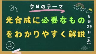 光合成に必要なものをわかりやすく解説